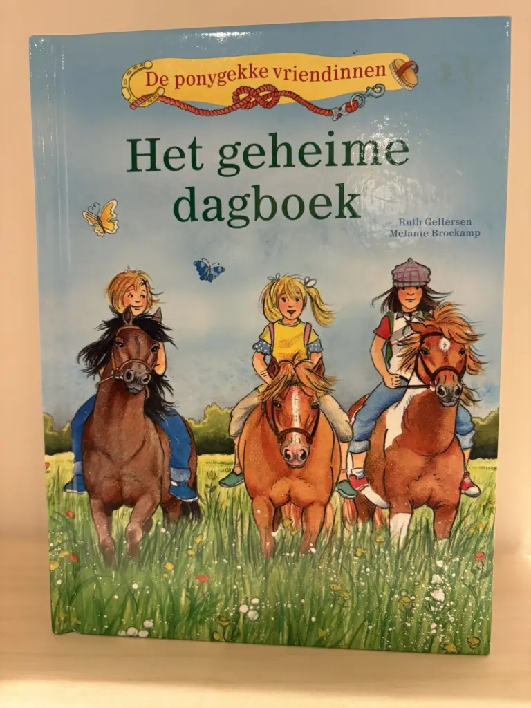 Boek Het geheime dagboek