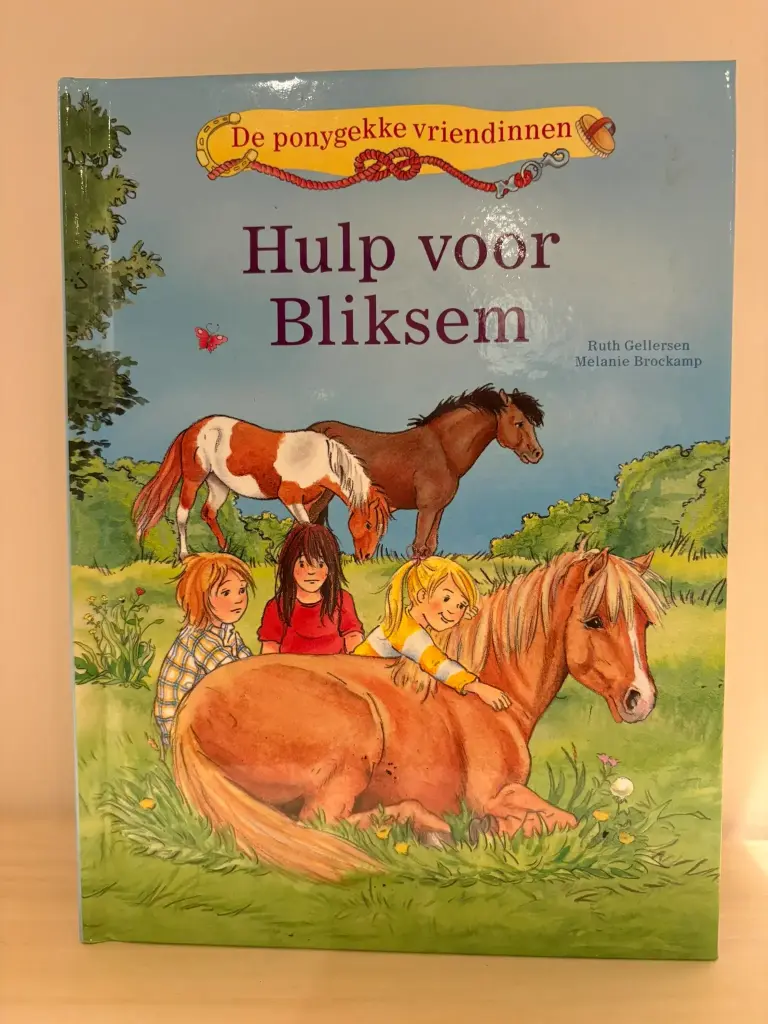 Boek Hulp voor Bliksem