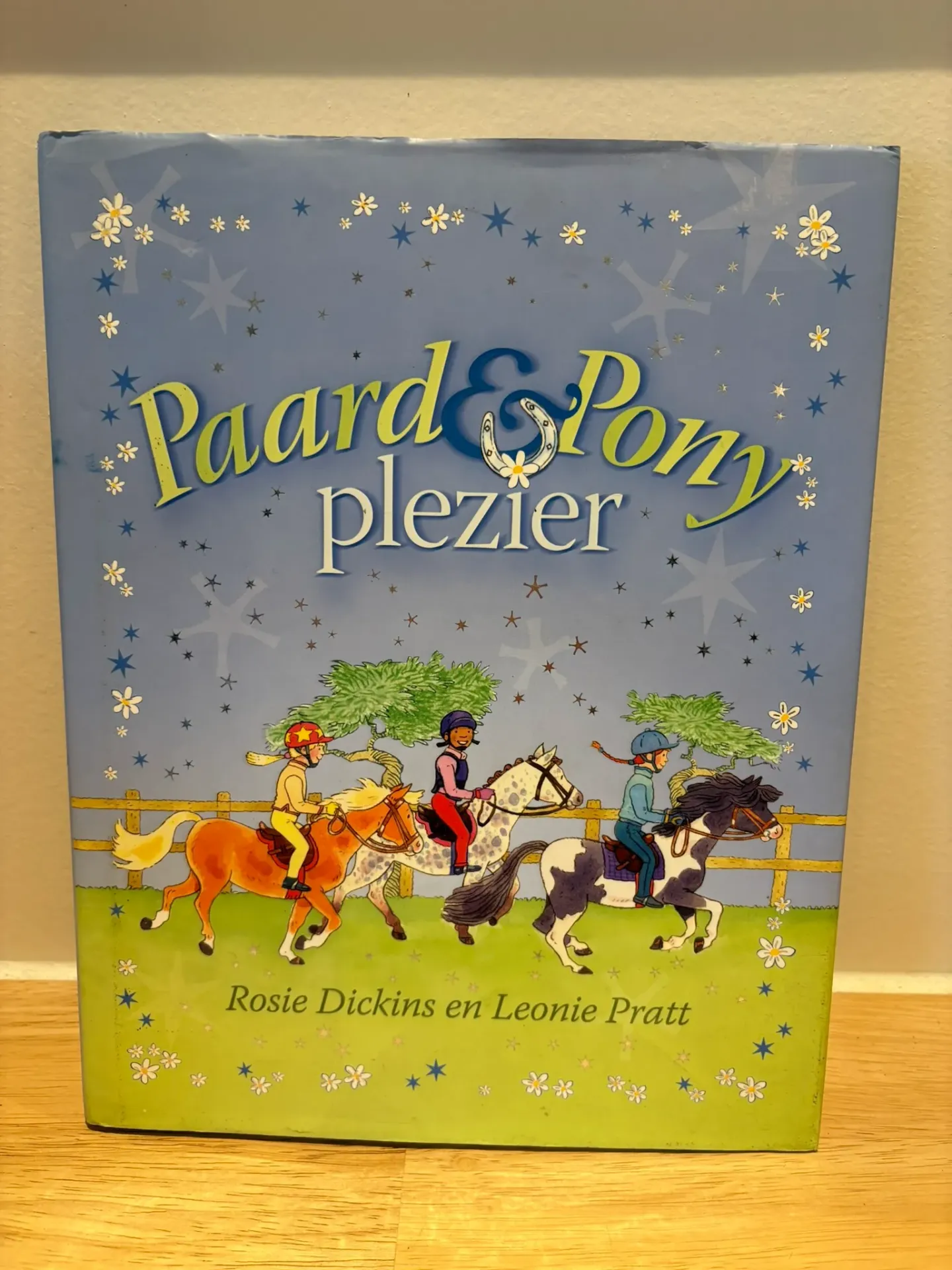 Boek Paard en pony plezier
