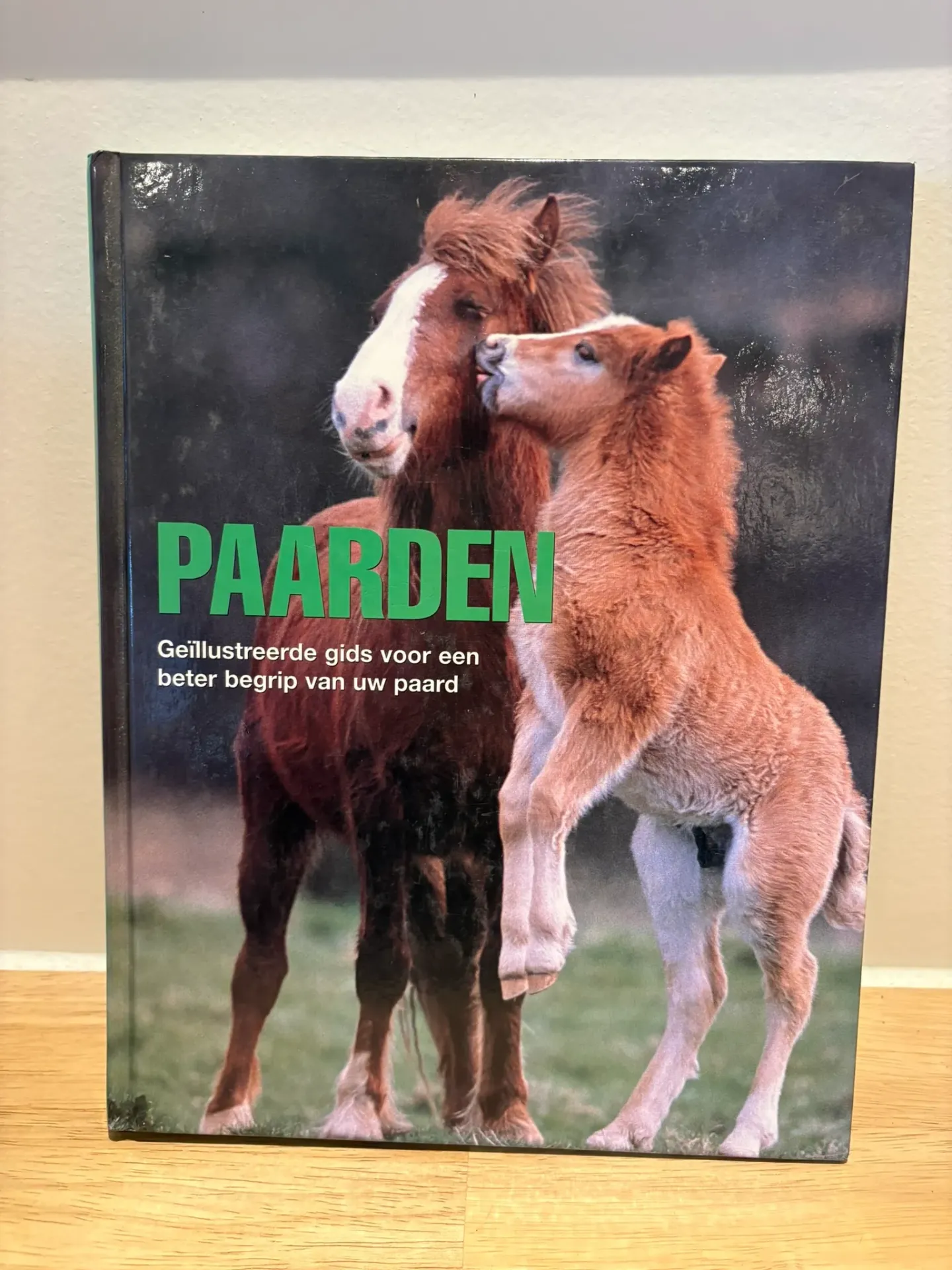 Boek Paardengids