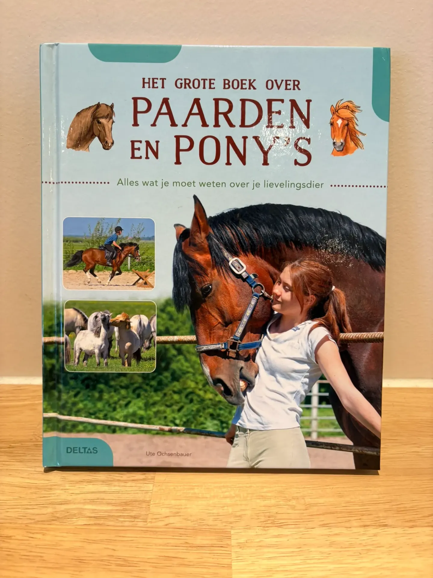 Boek Groot boek over paarden en pony's