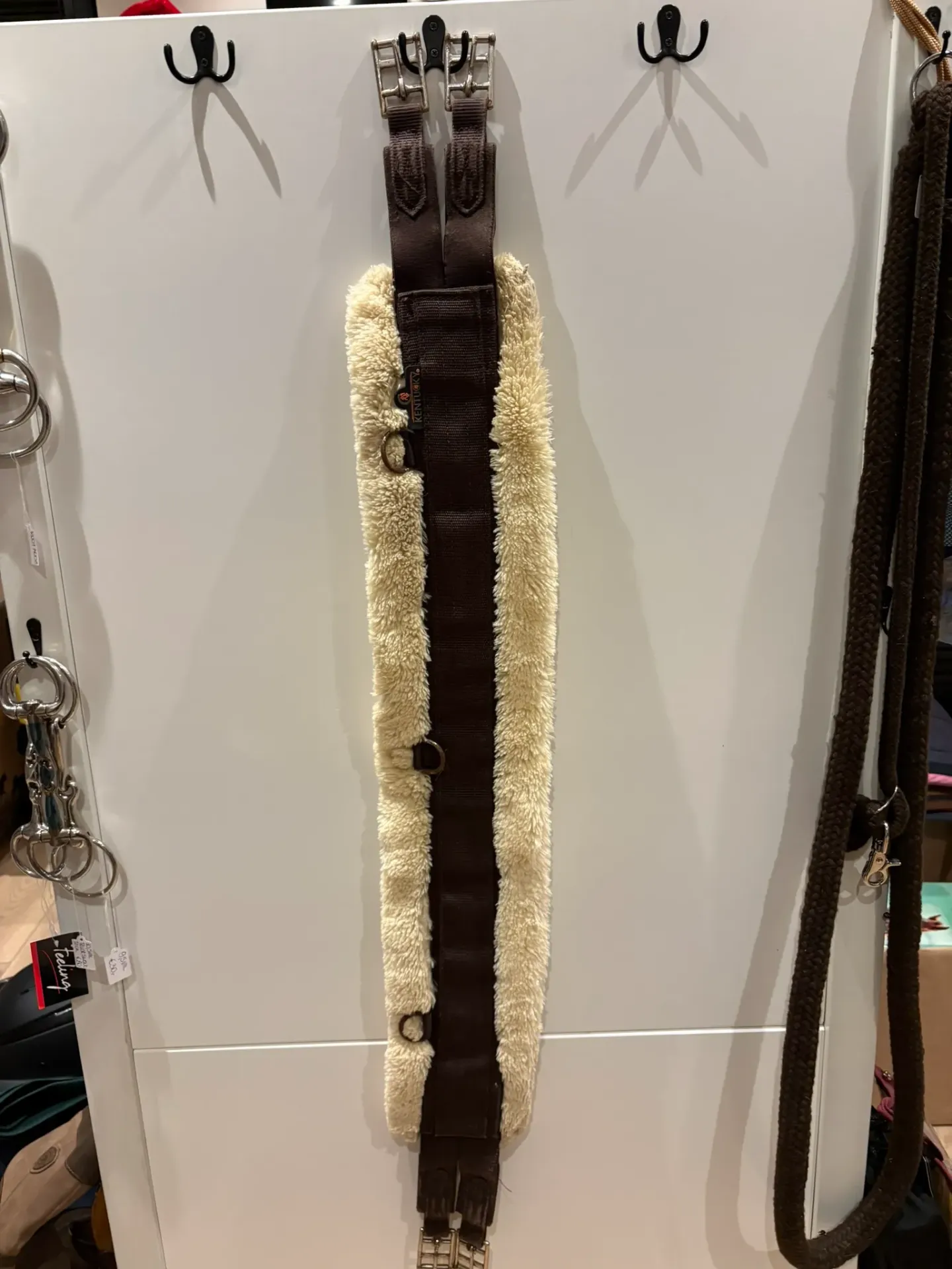 [K015A006] Singel Kentucky 115cm