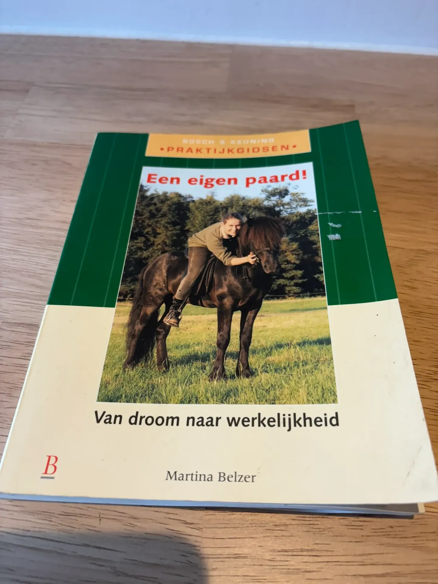 Boek Een eigen paard