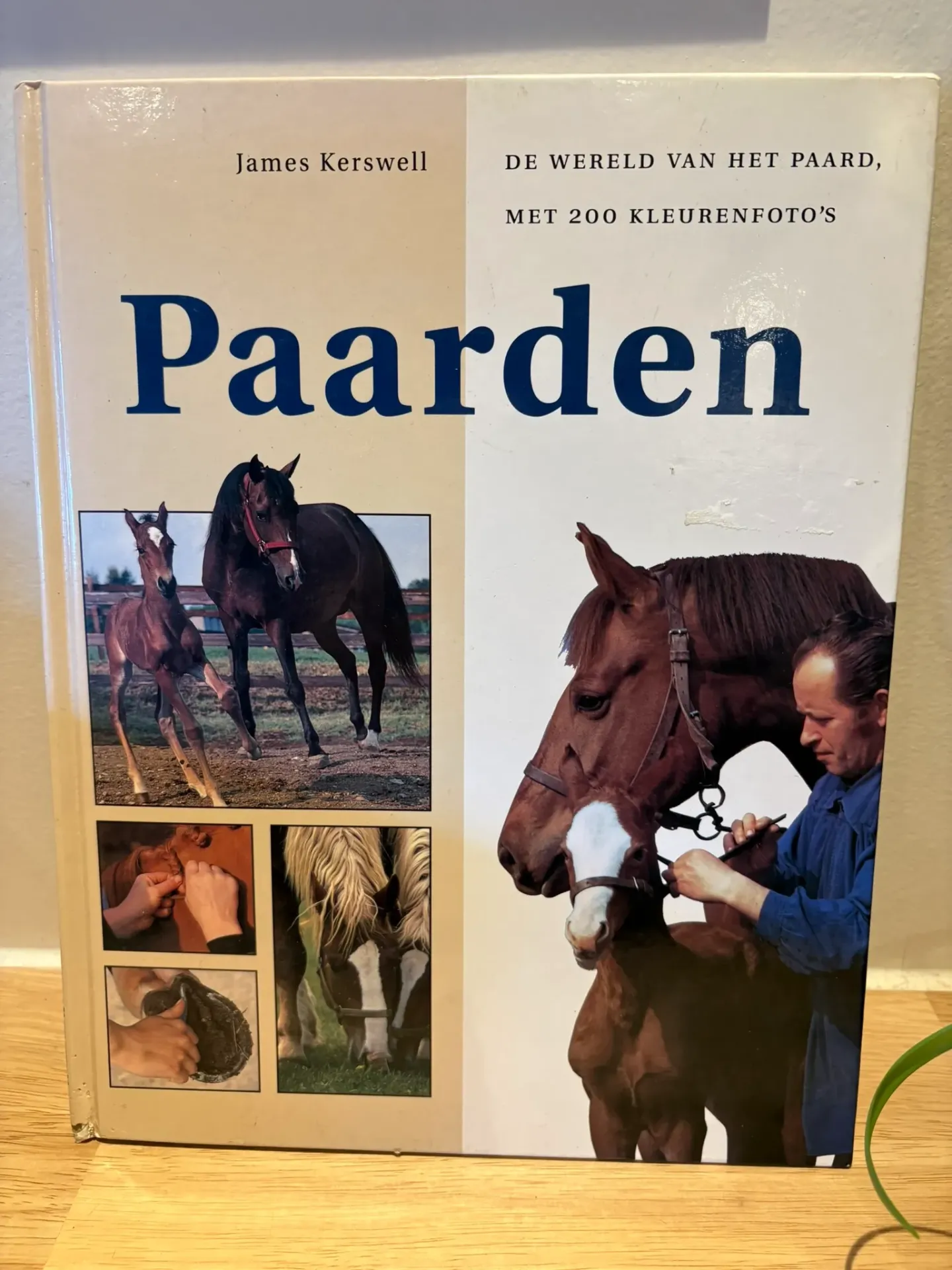 Boek Paarden