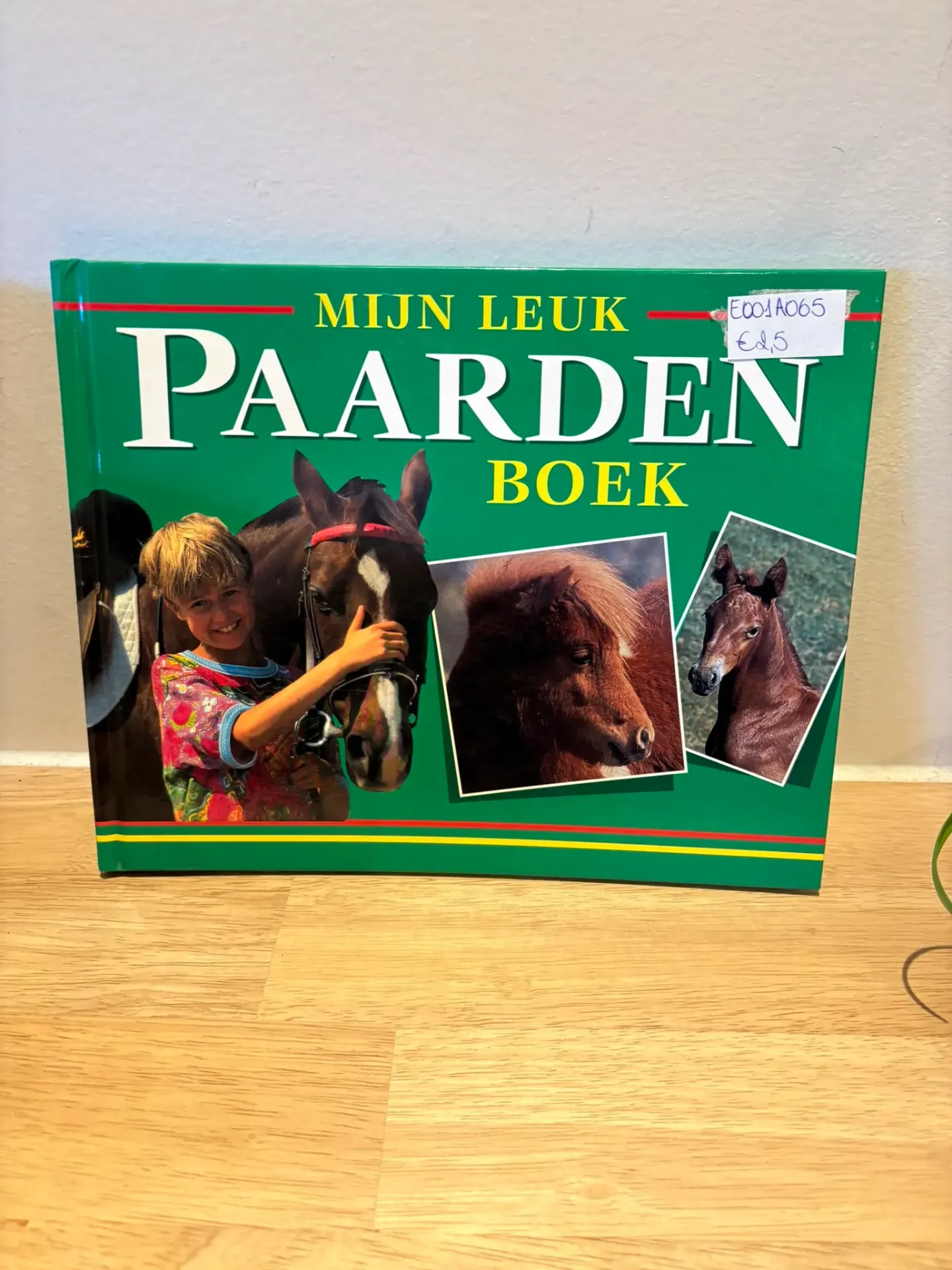 Boek Mijn leuk paardenboek