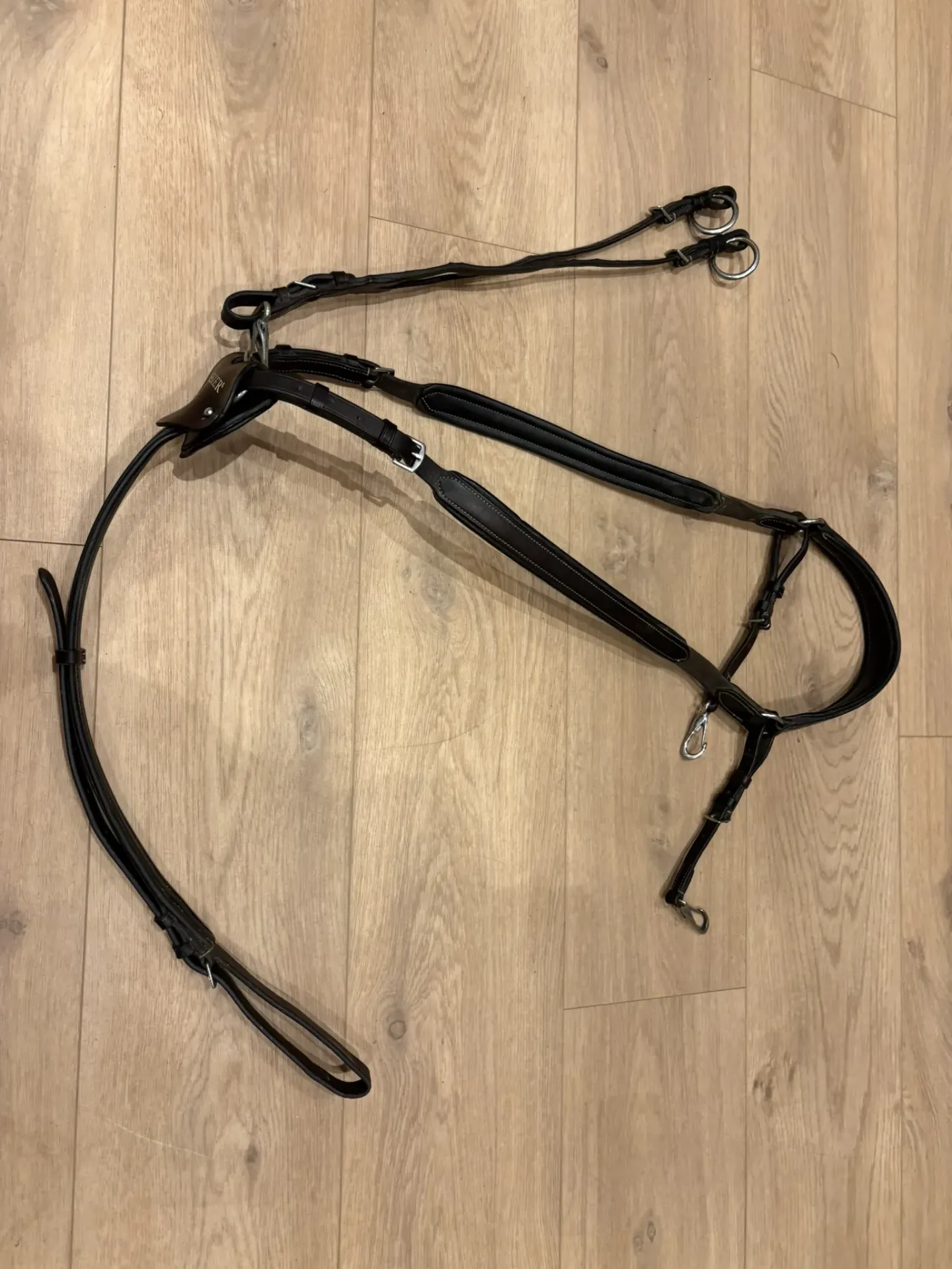 [K004A002] Martingaal (jacht) CWD